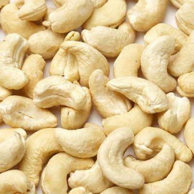 CASHEW KERNEL AGENT