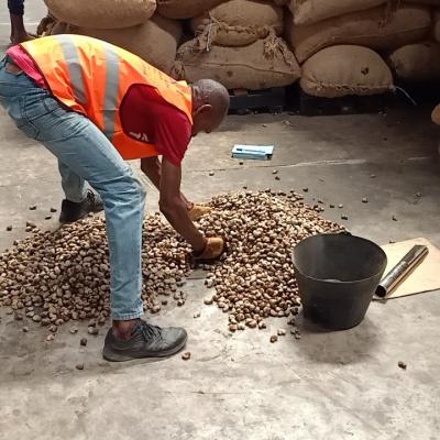 Service of inspection and supervise cargo loading in Africa